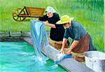 Huile sur toile